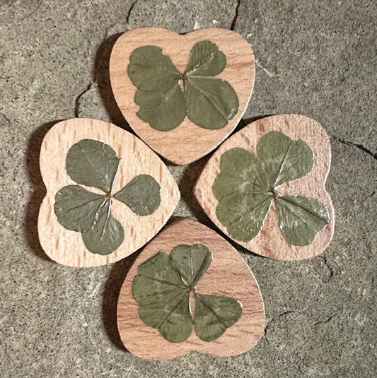 Real Four-Leaf Clover Wooden Lucky Charm - Get Lucky!