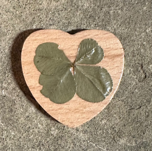 Real Four-Leaf Clover Wooden Lucky Charm - Get Lucky!