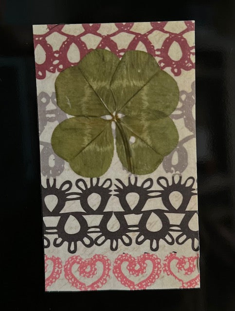 Real Four-Leaf Clover Magnet - Get Lucky!